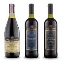 cacciatora_groupage[1] copia.JPG